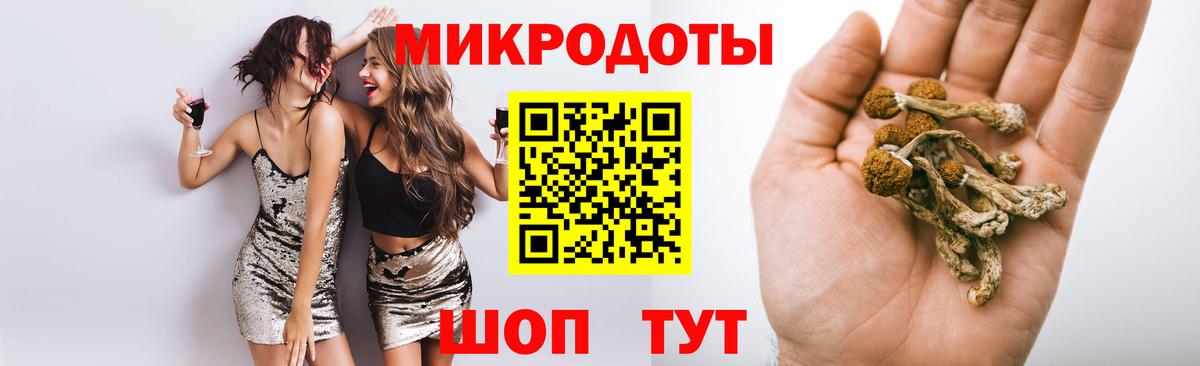 Галлюциногенные грибы ЛСД  Вход с VPN  Среднеуральск  наркота  Галлюциногенные грибы Psilocybe 